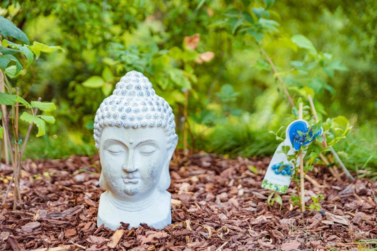 Tiny Messancy, Une Immersion Dans La Nature ! Exterior foto